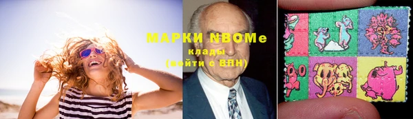 apvp Новозыбков