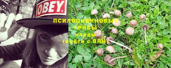 apvp Новозыбков